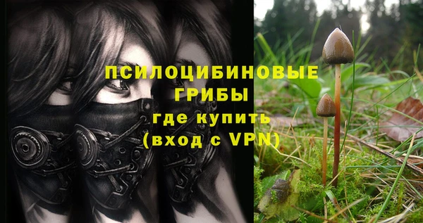 хмурый Алзамай