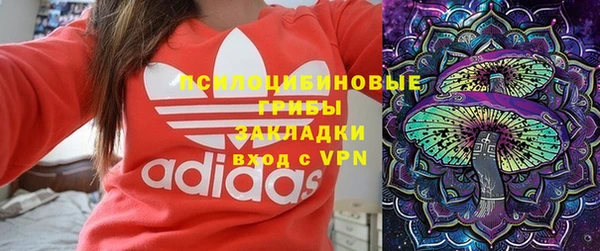 хмурый Алзамай