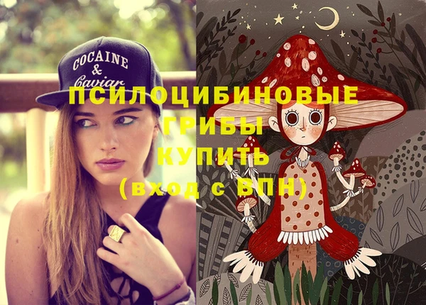 шишки Алексеевка