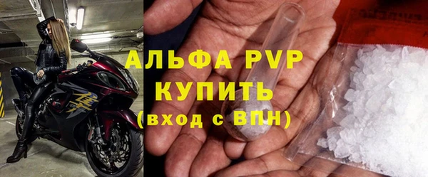 шишки Надым
