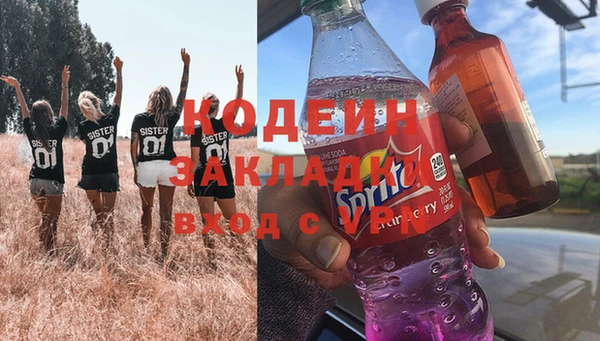 хмурый Алзамай