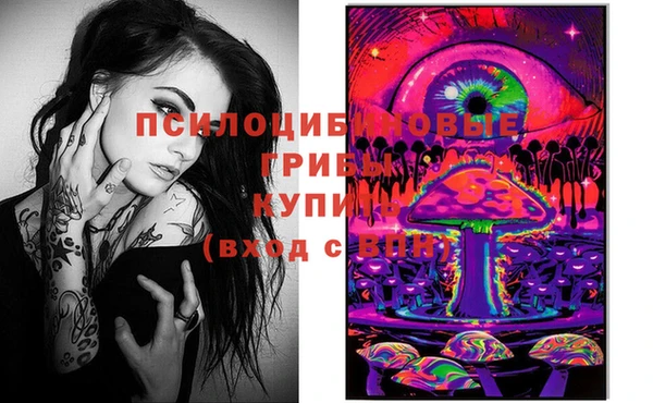 каннабис Арсеньев
