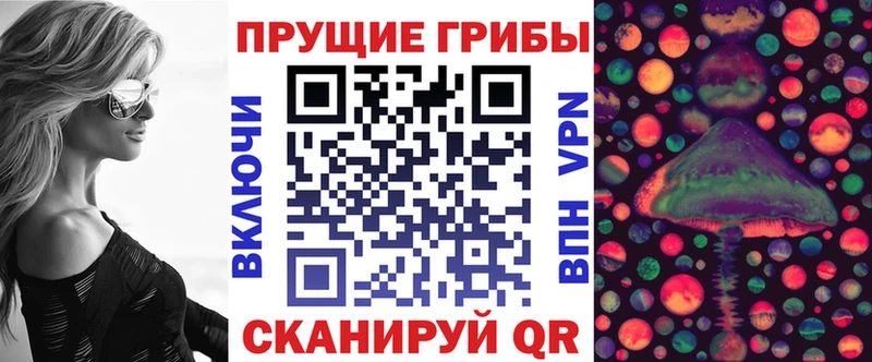 Галлюциногенные грибы Psilocybe  где купить наркотик  Устюжна 